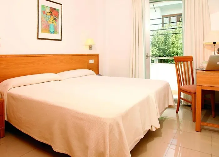 Denga Puerto Pollensa